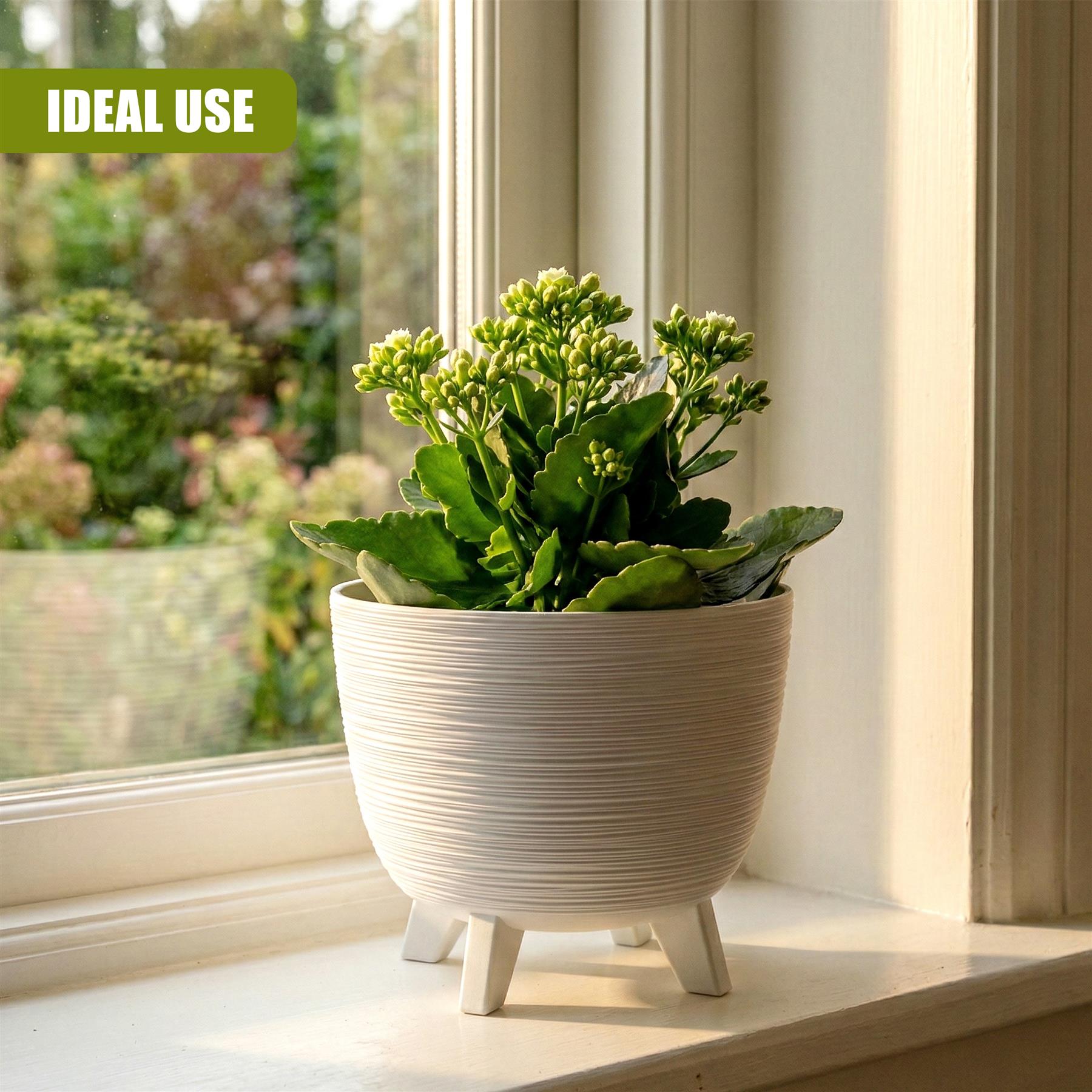 White ceramic pot with ribbed sides and three short legs contains lush green foliage on a windowsill.