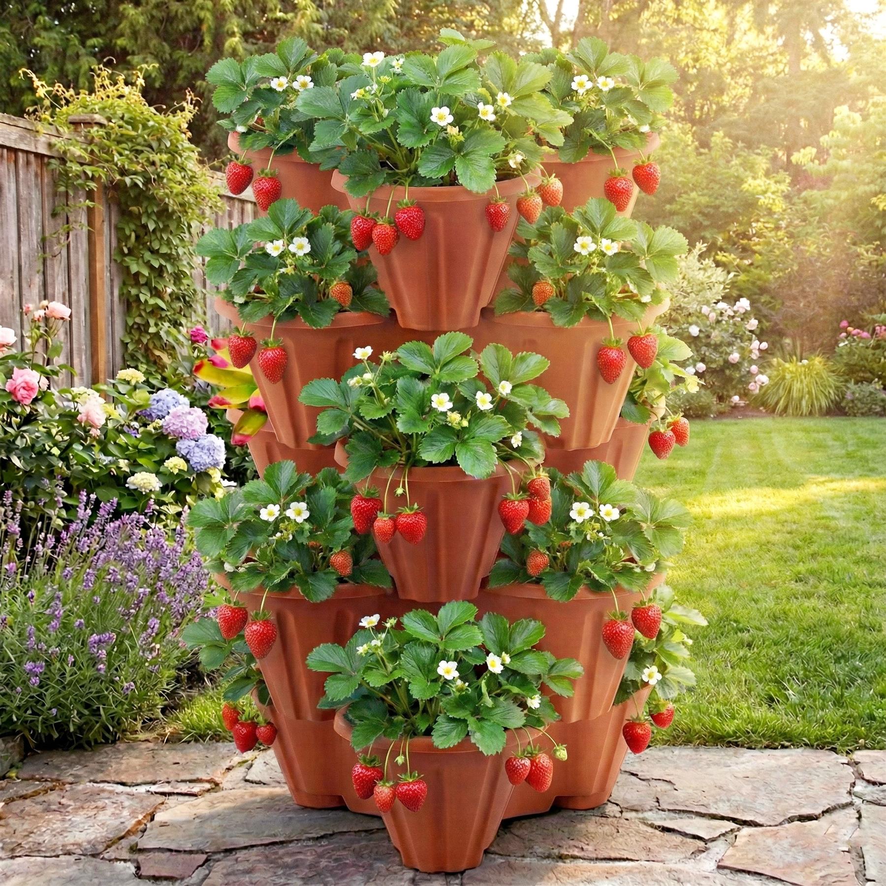 Stackable Strawberry Planter