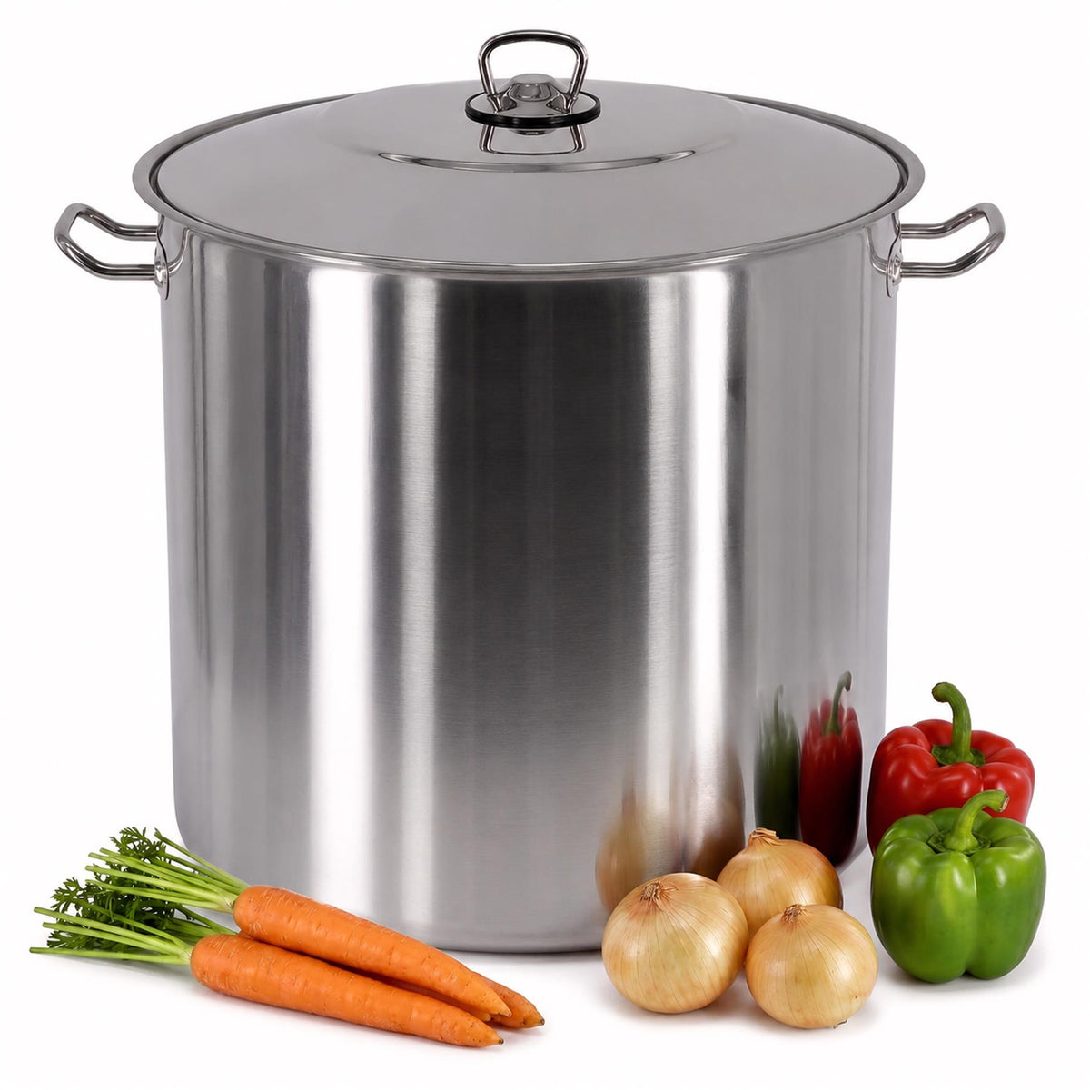 Arian Gastro Stock Pot - 21 L