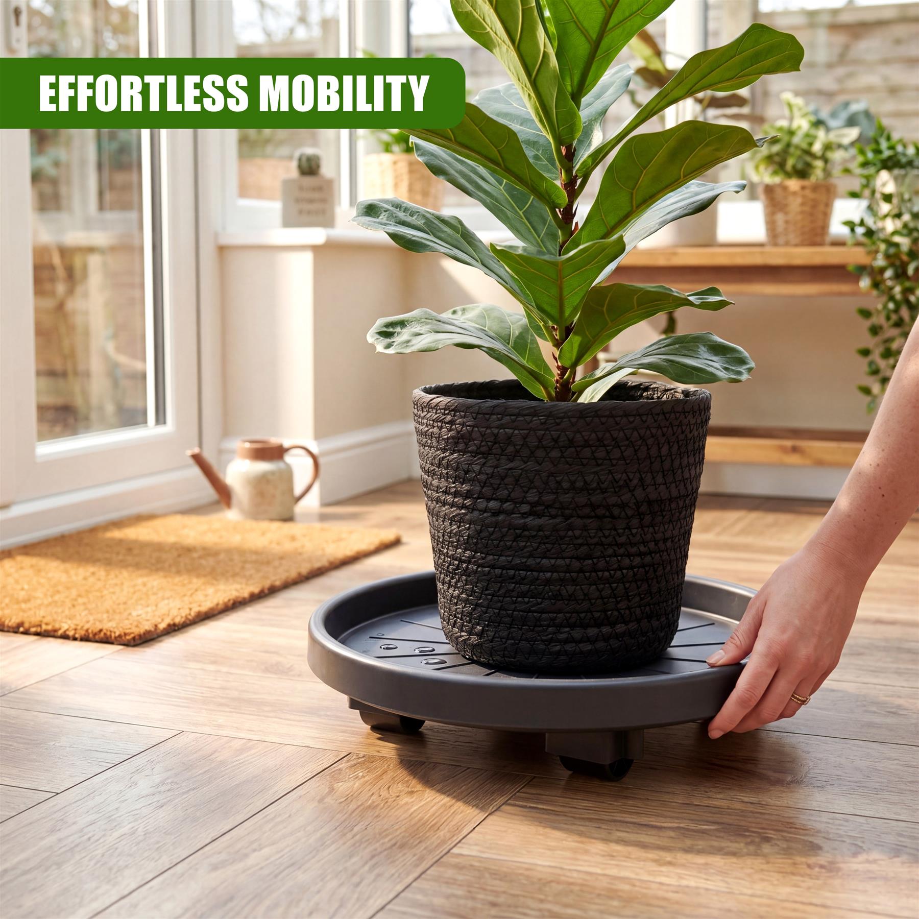 Plant Trolley Plant Caddy Indoor and Outdoor Pot Caddy with Wheels Round -  Anthracite - Plant Caddy - Plant Trolley - Polypropylene