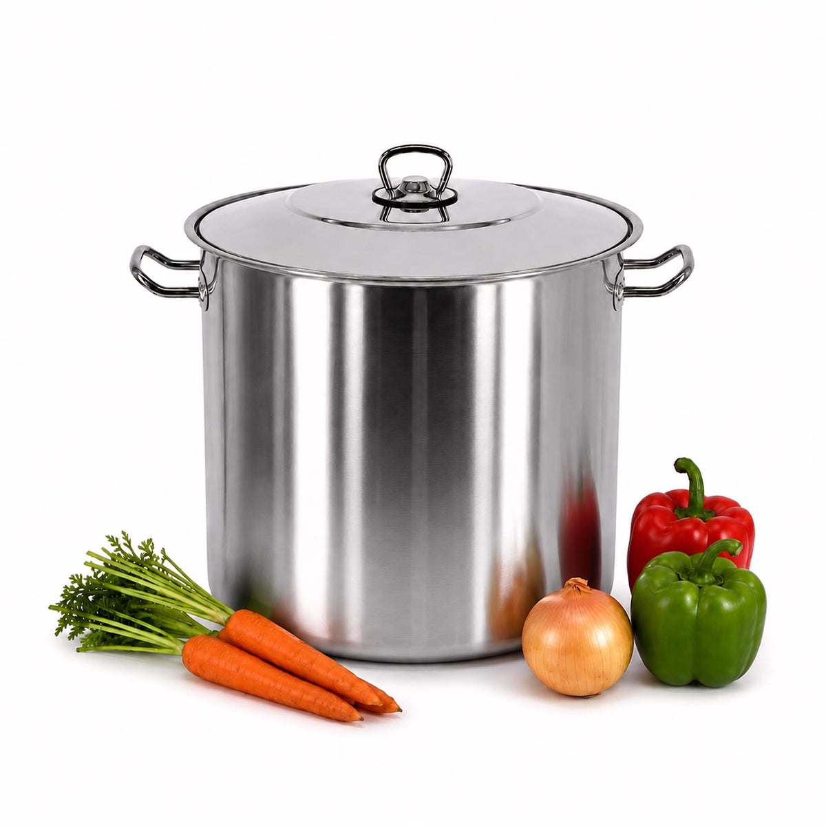 Arian Gastro Stock Pot - 11 L