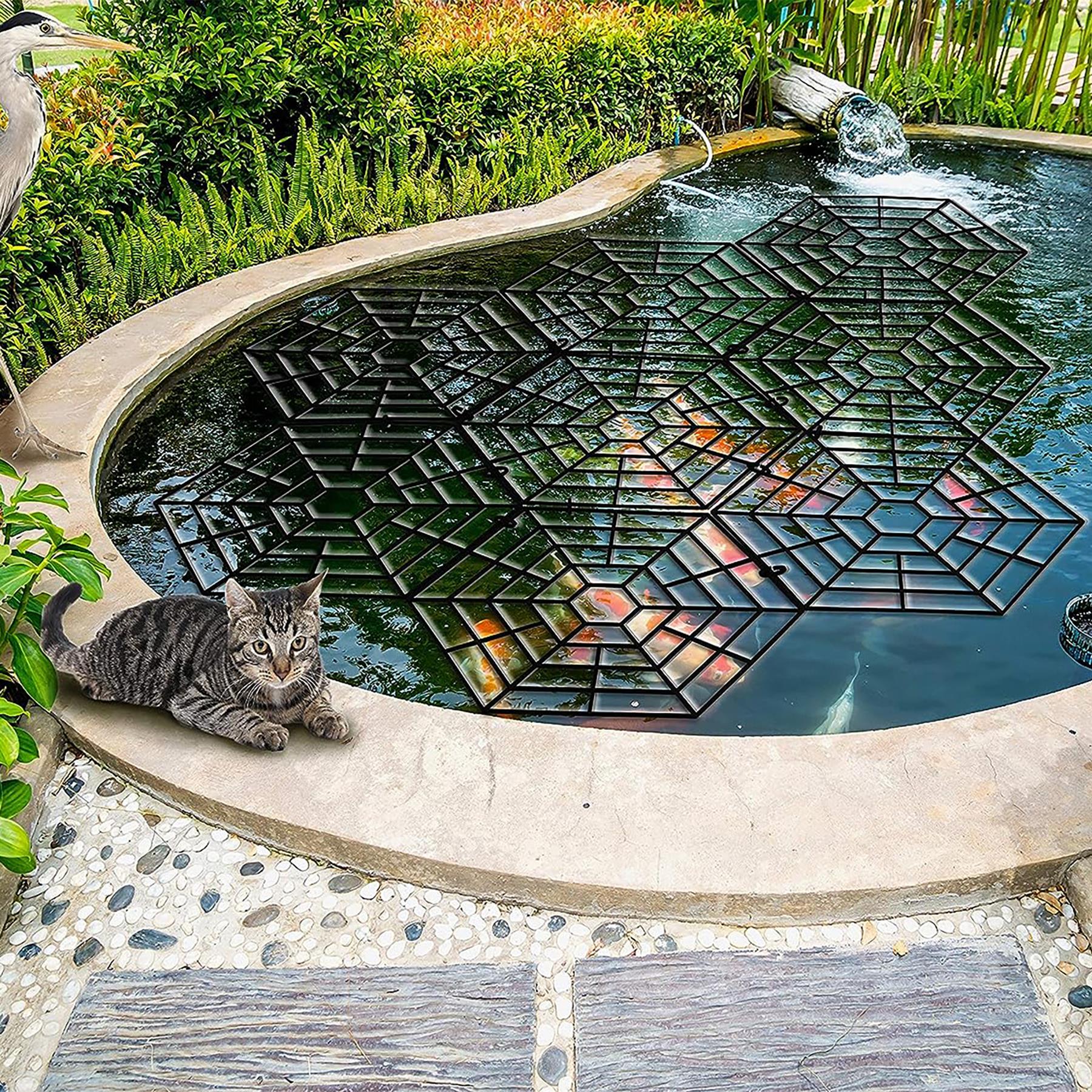 A large fish tank with a mesh cover, containing live fish and plants, and placed on a pool deck.