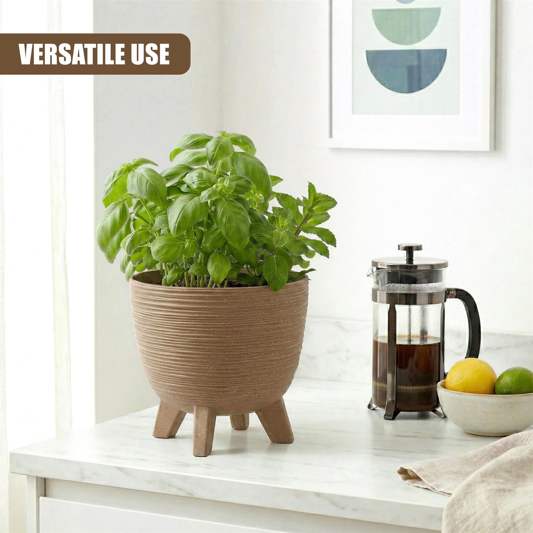 Brown planter pot with short legs holds basil, placed near a French press and citrus fruit bowl.