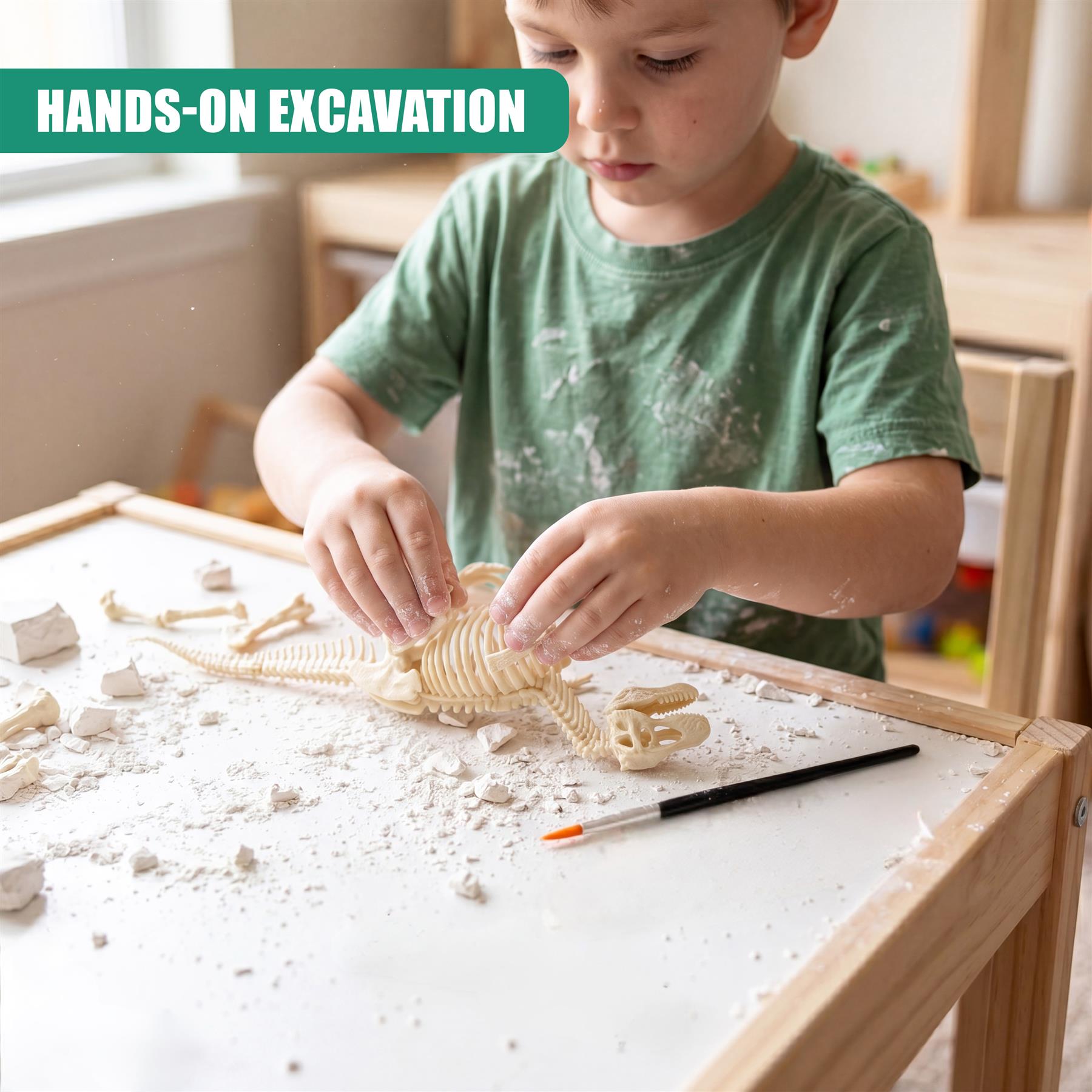 2-in-1 Fossil Excavation & Modelling Kit
