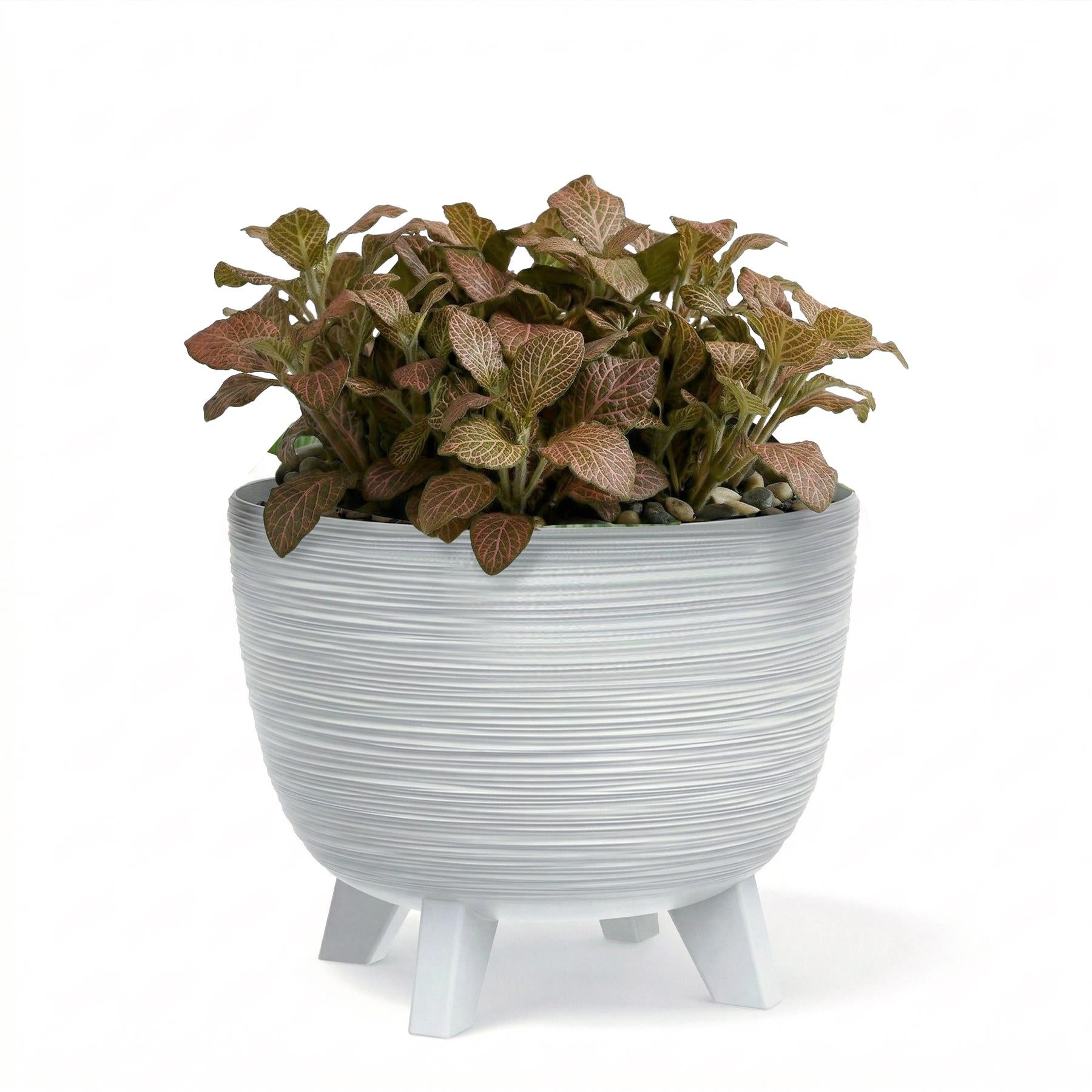 A ribbed white pot on three legs containing a mound of variegated green foliage and stones.