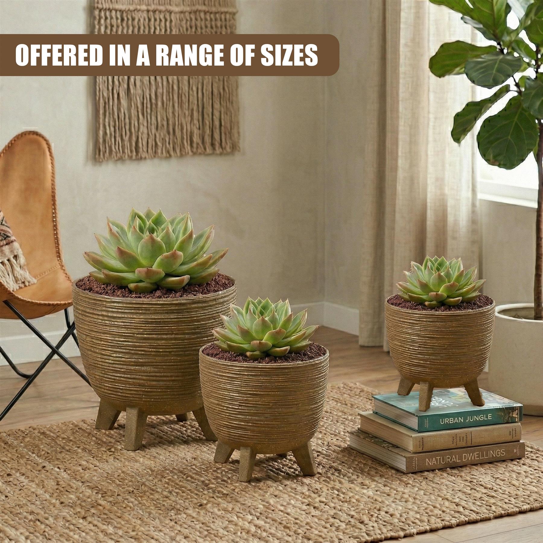 Three potted succulents on a rug, displayed with varying sized brown decorative pots.