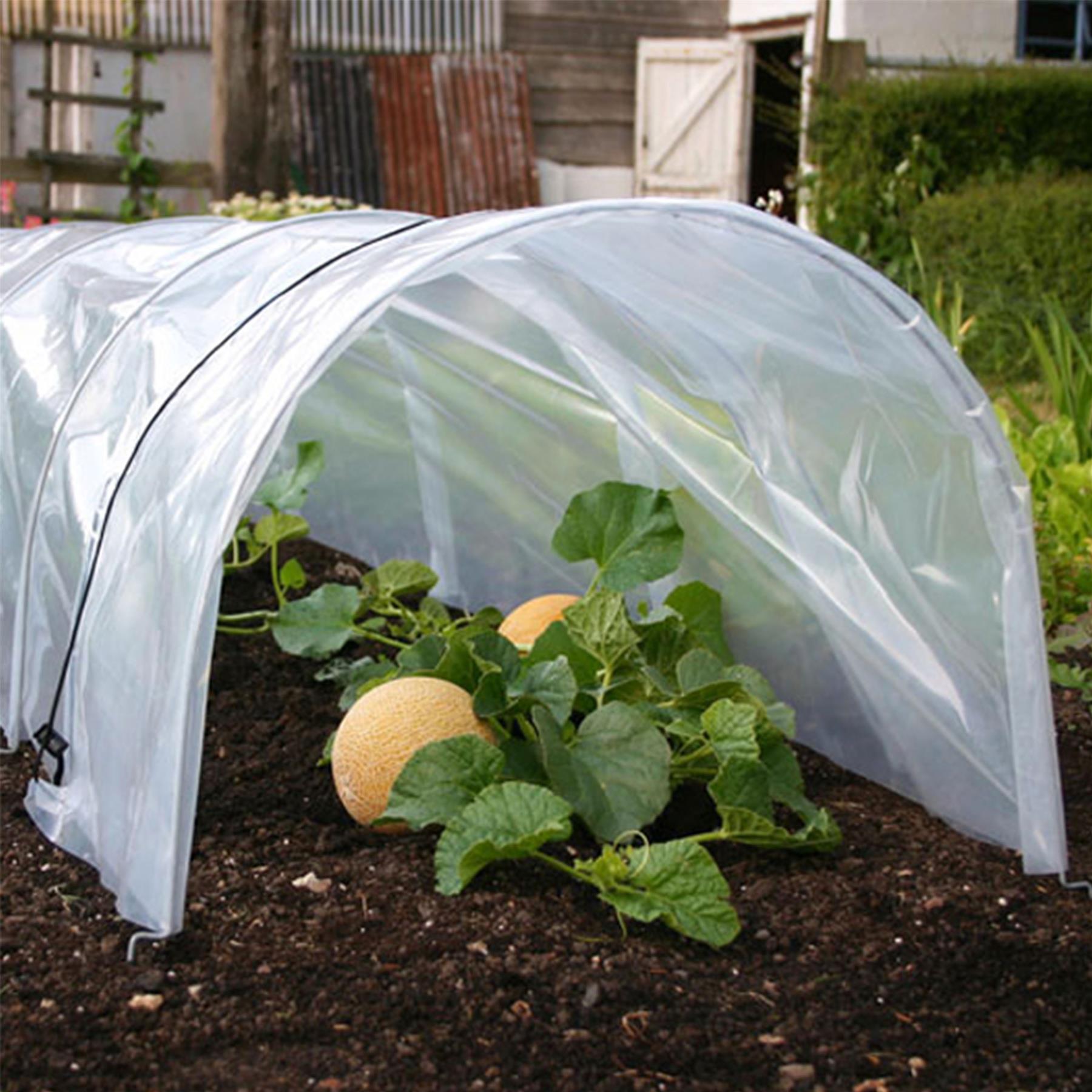 Geezy Greenhouse Polytunnel