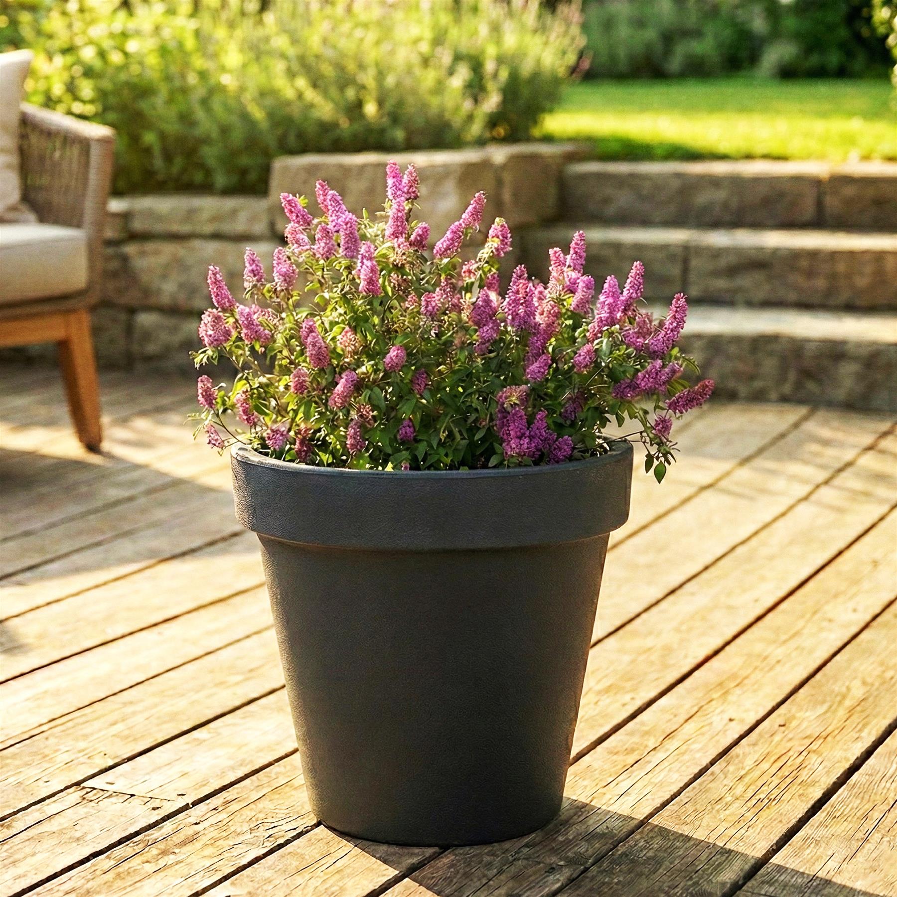 A vibrant, potted plant with pink flowers in a garden setting, surrounded by a wooden deck and a chair, with a stone wall and greenery in the background. - The Magic Toy Shop