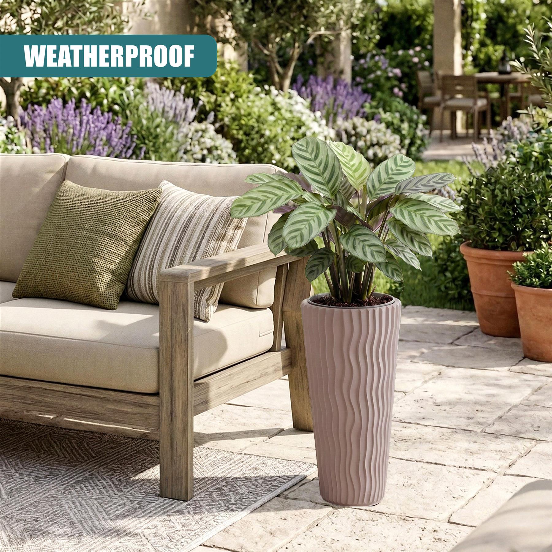 Textured, light-colored flower pot containing a large leafy green plant placed outdoors on patio tile.