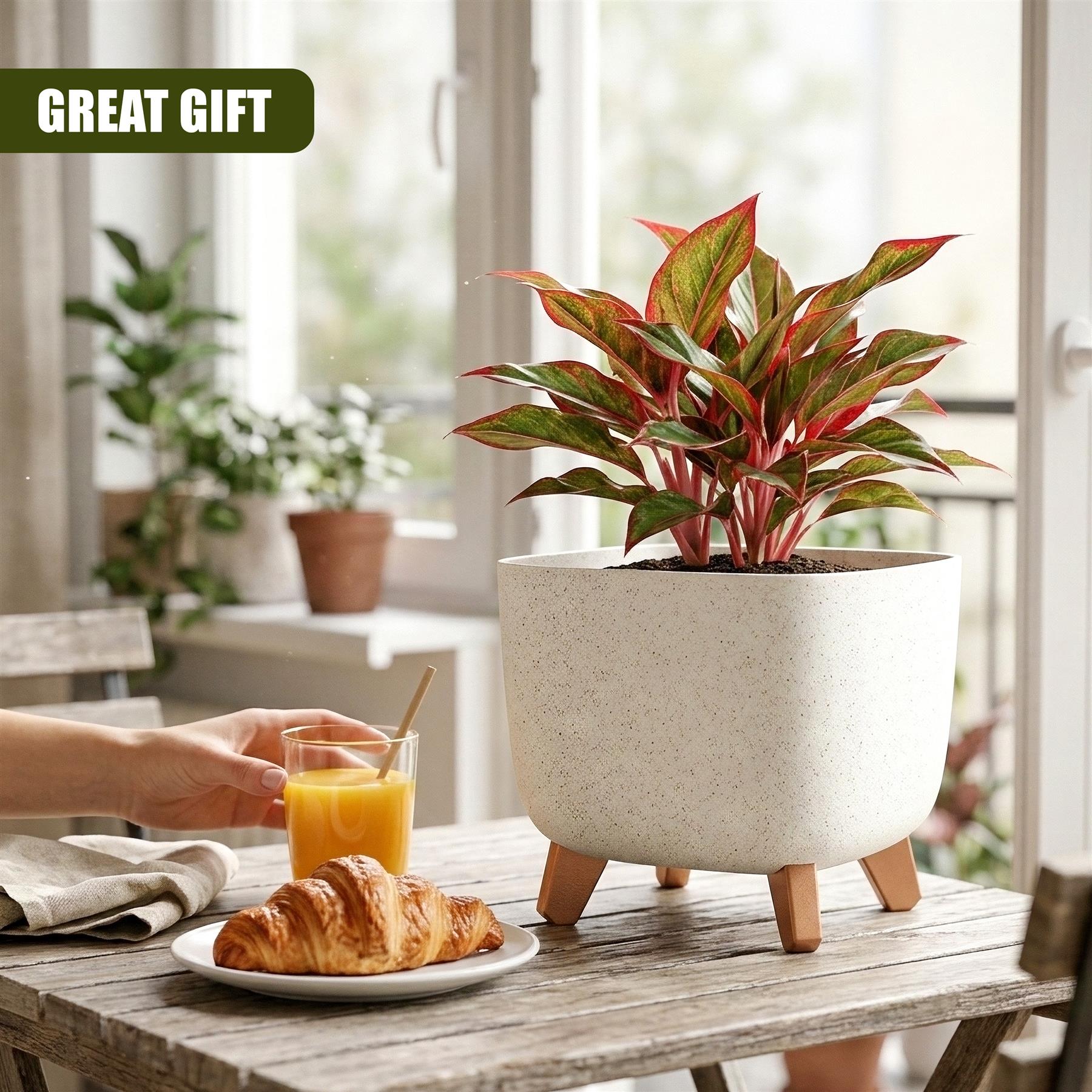 Light colored planter pot with wooden legs displays a variegated indoor plant on wood.