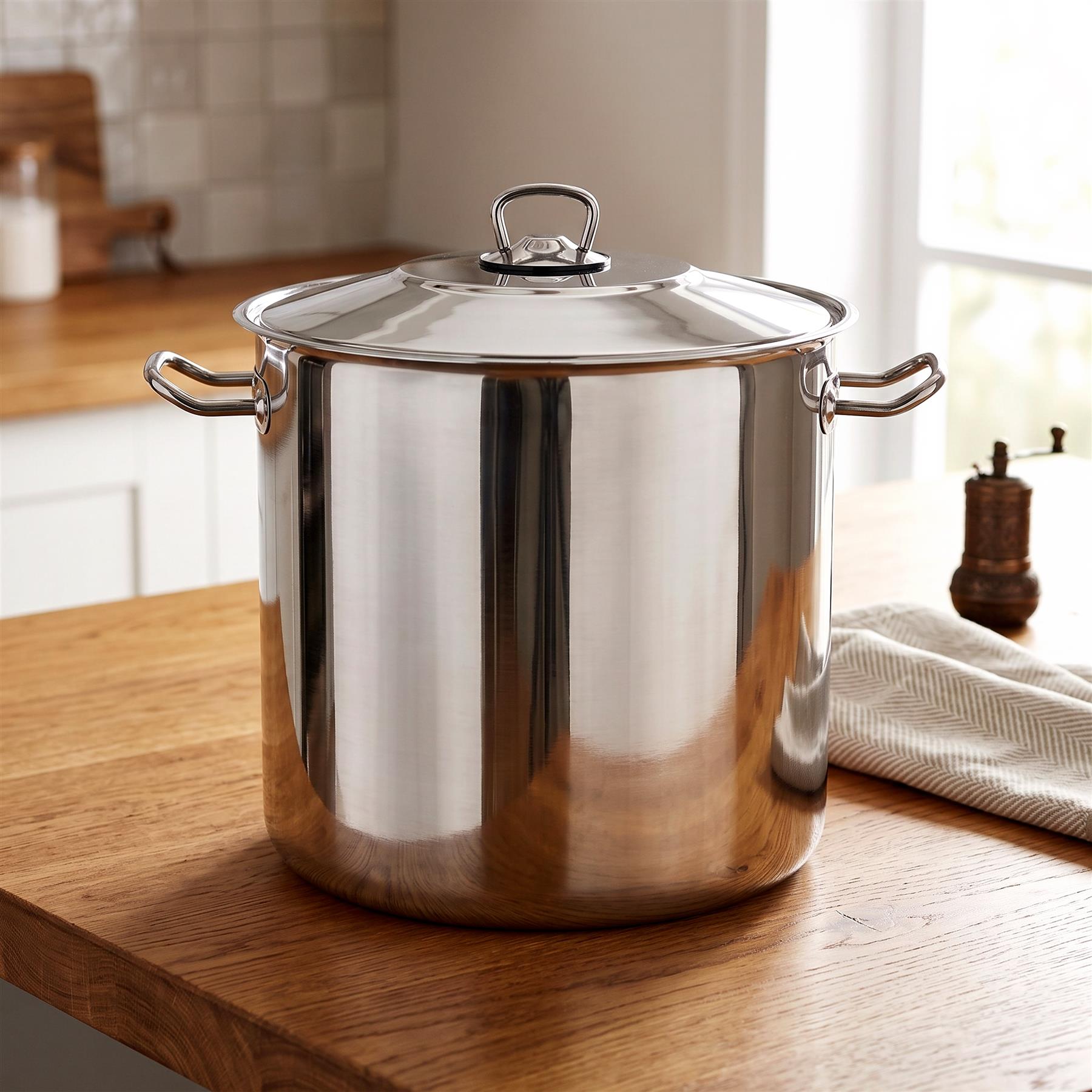 Arian Gastro Stock Pot - 17 L