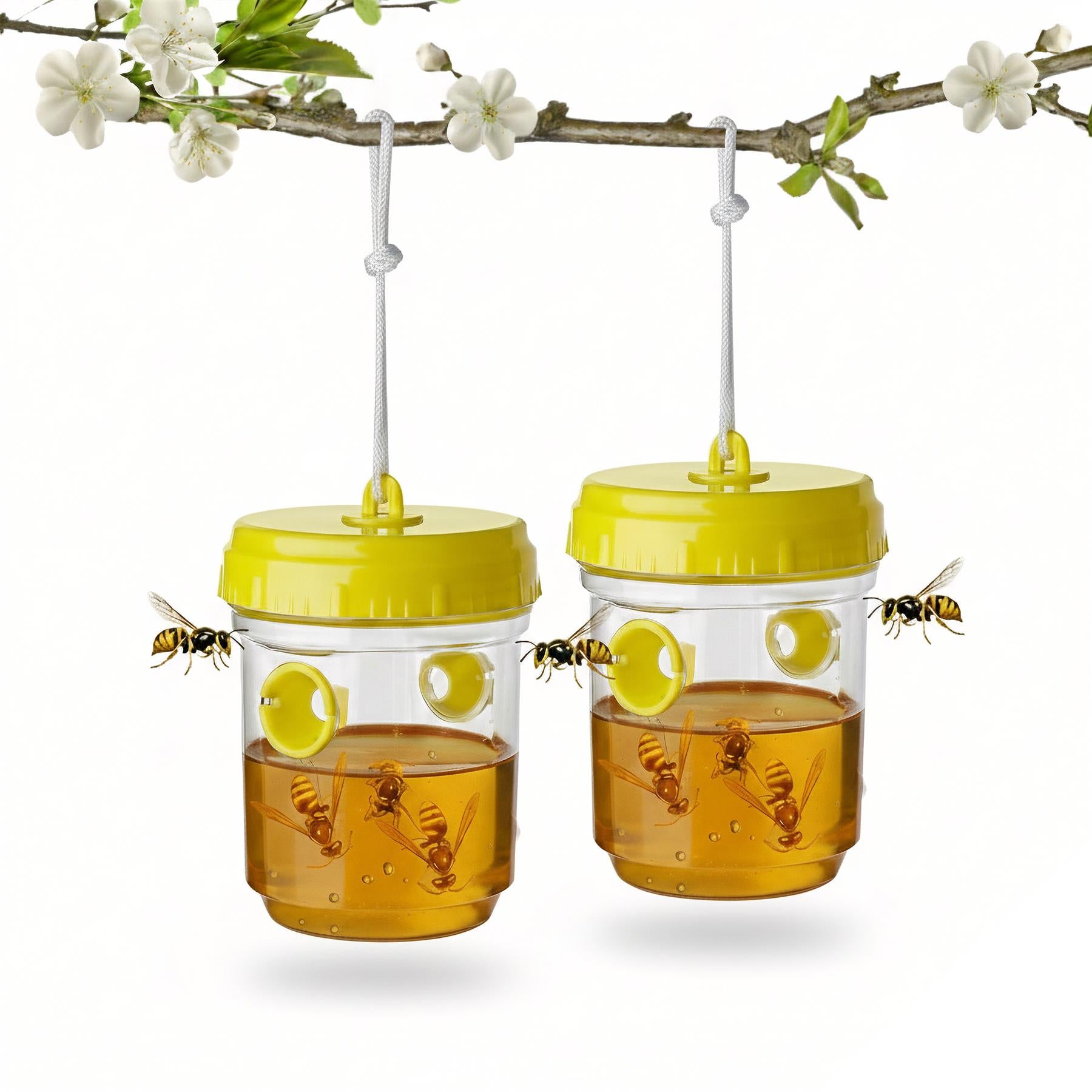 Wasp Trap - Set of 2 by GEEZY | The Magic Toy Shop