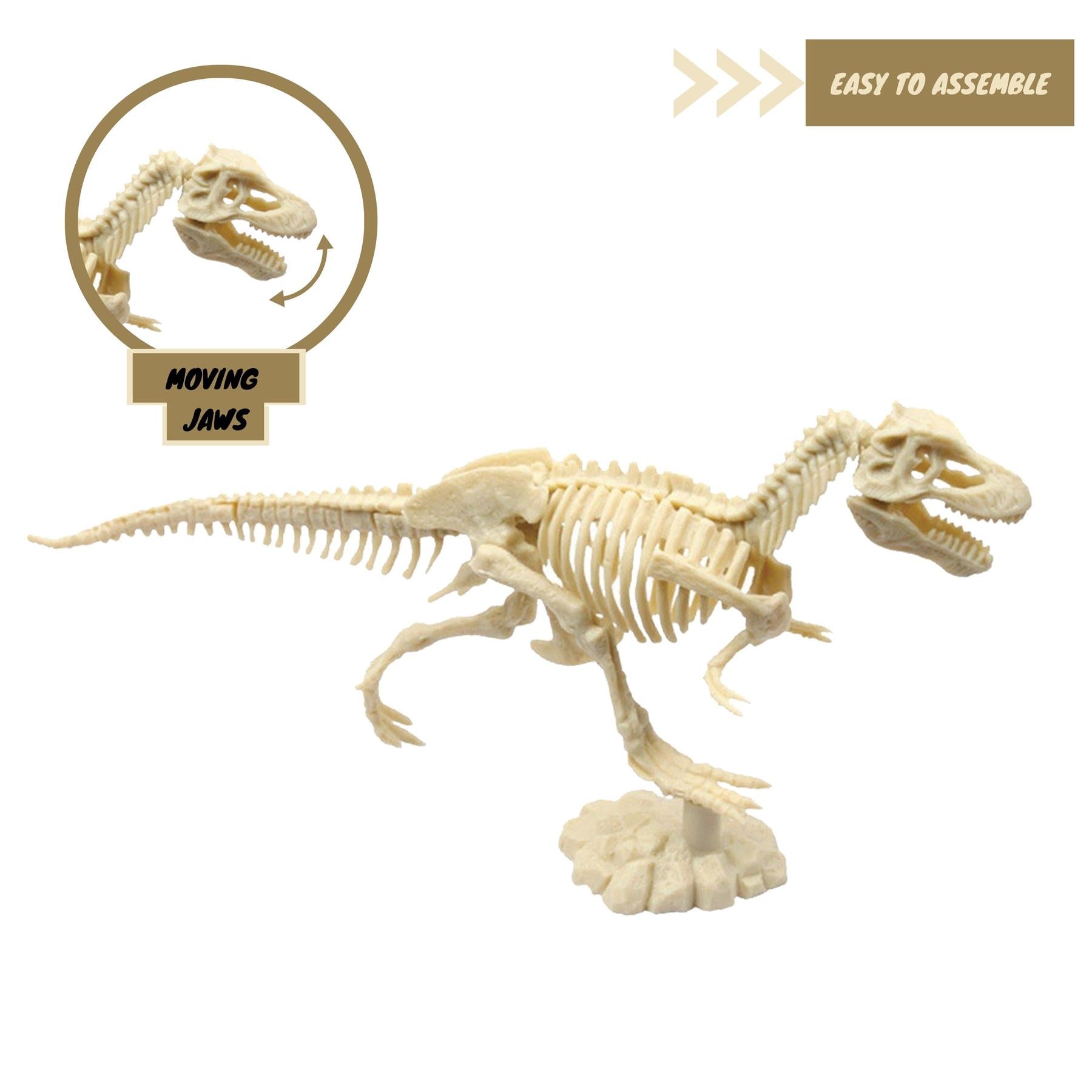 Dinosaur skeleton model kit showing a mounted figure and detached jaws.