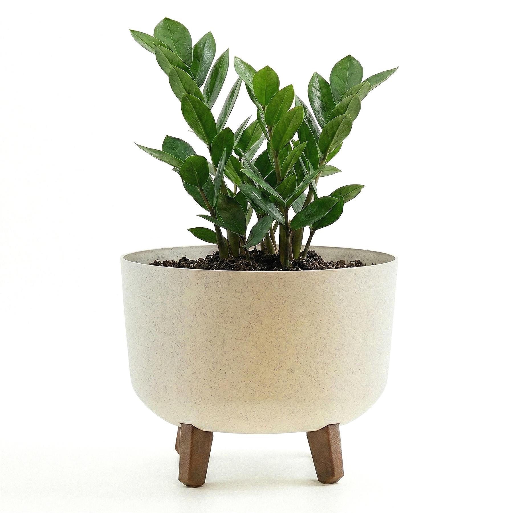 Plant Pot with Legs, 29 cm