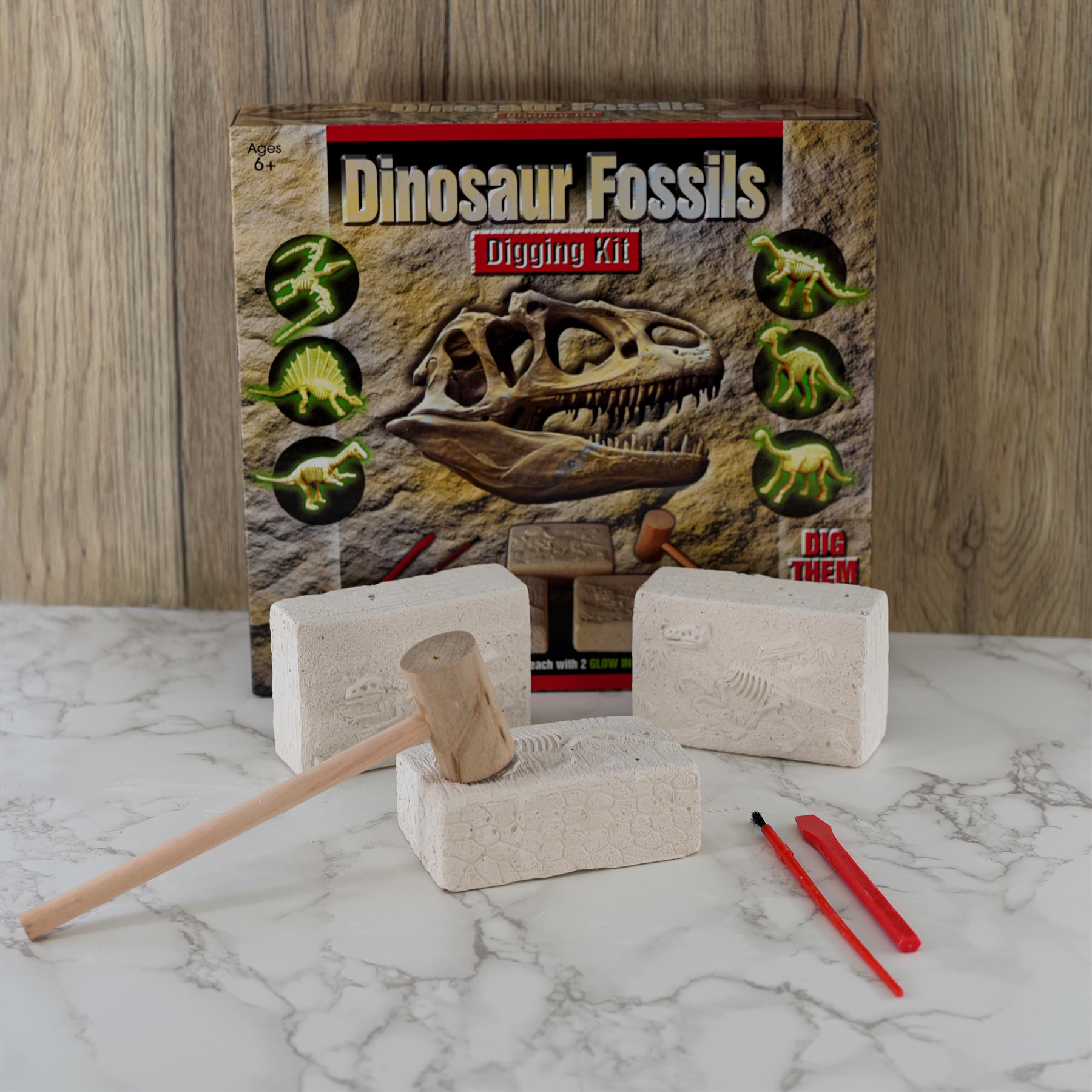 The Magic Toy Shop Dinosaur Fossils Digging Kit