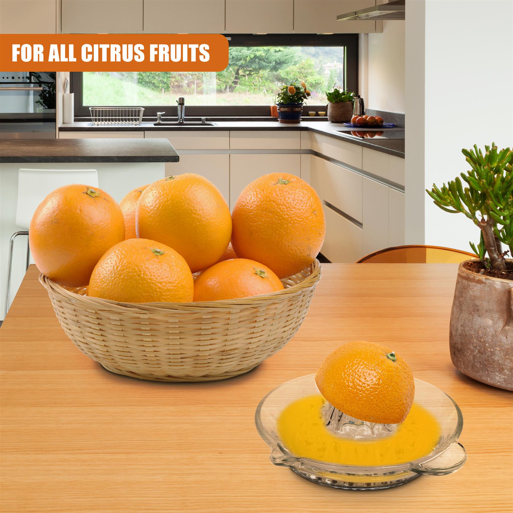 Glass Citrus Juicer
