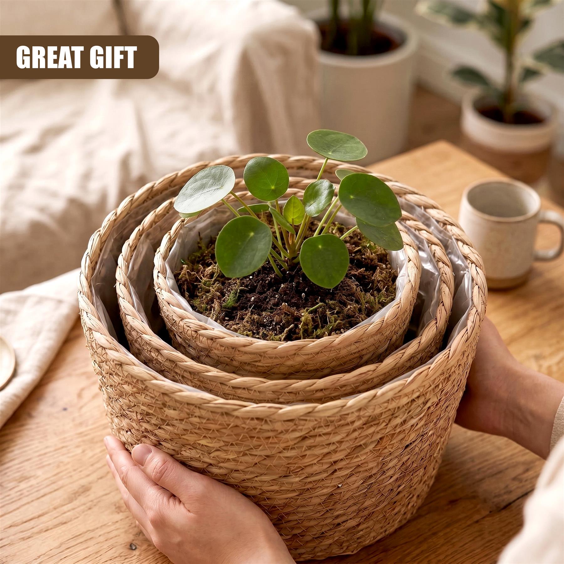Set of 3 Wicker Planters