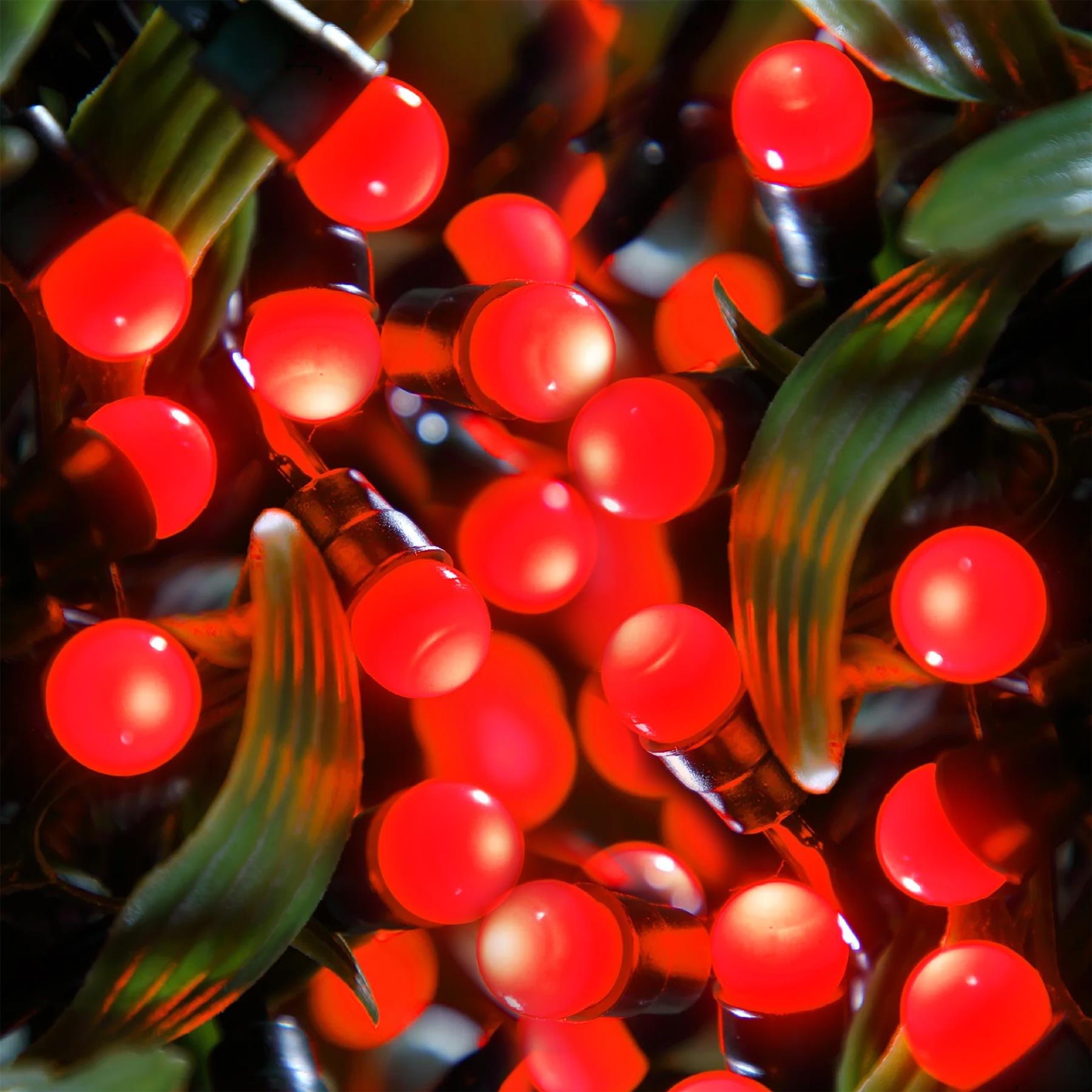 100 Berry Christmas LED Lights Red