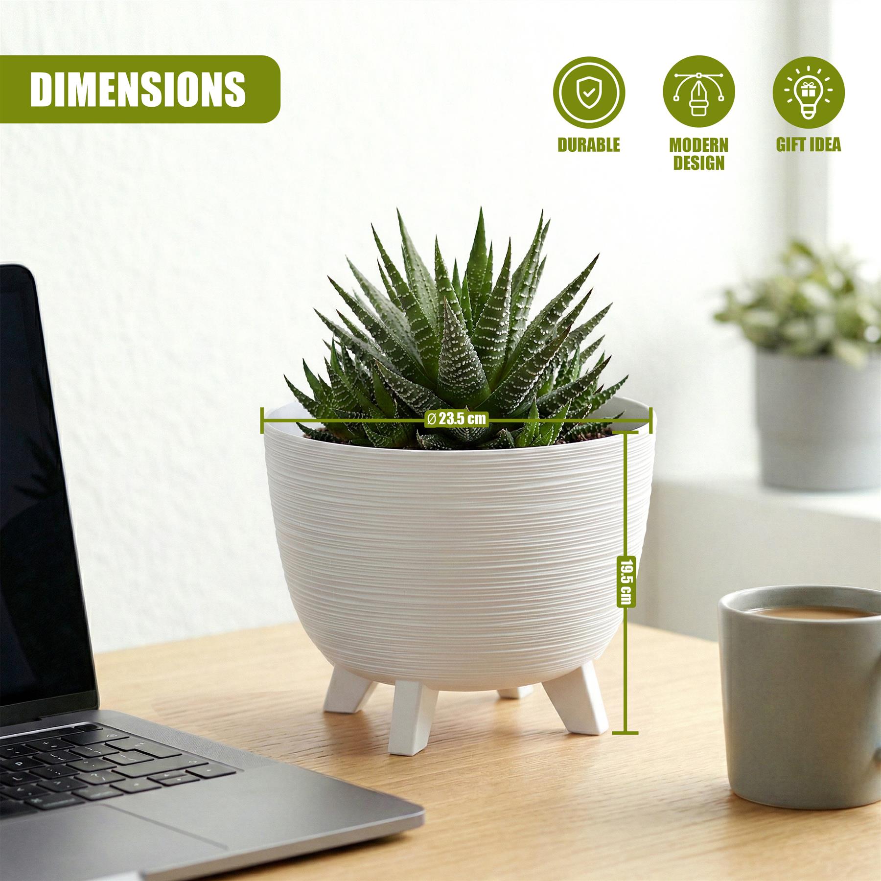 A white potted succulent sits in a ribbed ceramic pot with short legs on a wooden tabletop.