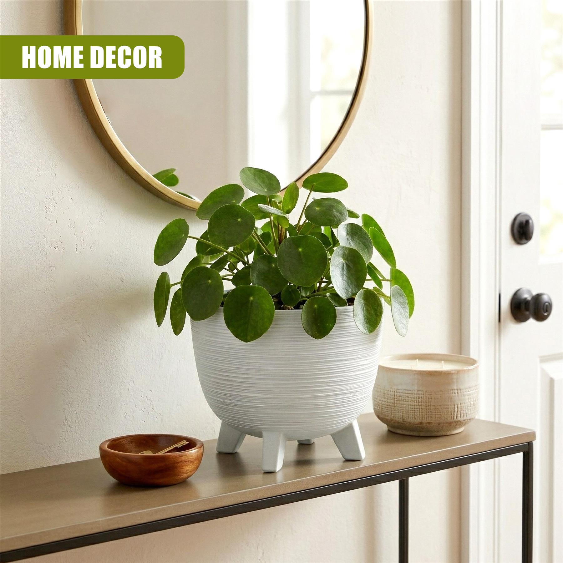 White, ribbed planter with feet displaying a vibrant green leafy houseplant positioned on a shelf.