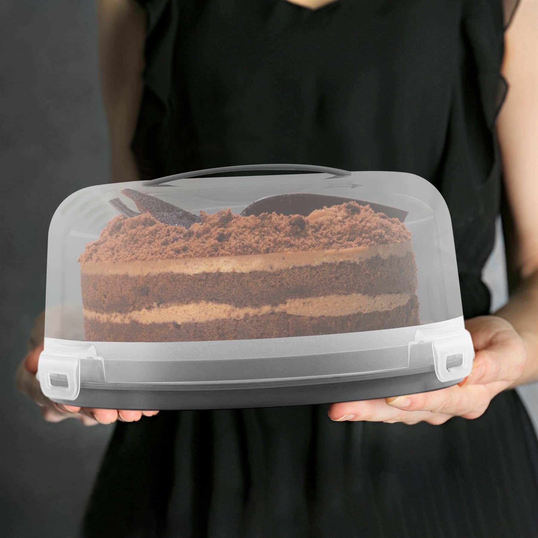 chocolate cake with plastic dome container - The Magic Toy Shop