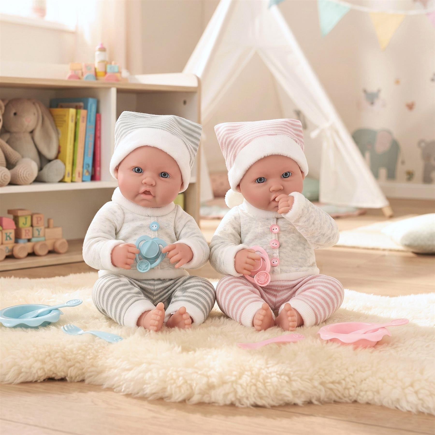 Twin Baby Dolls Dummy and Feeding Set
