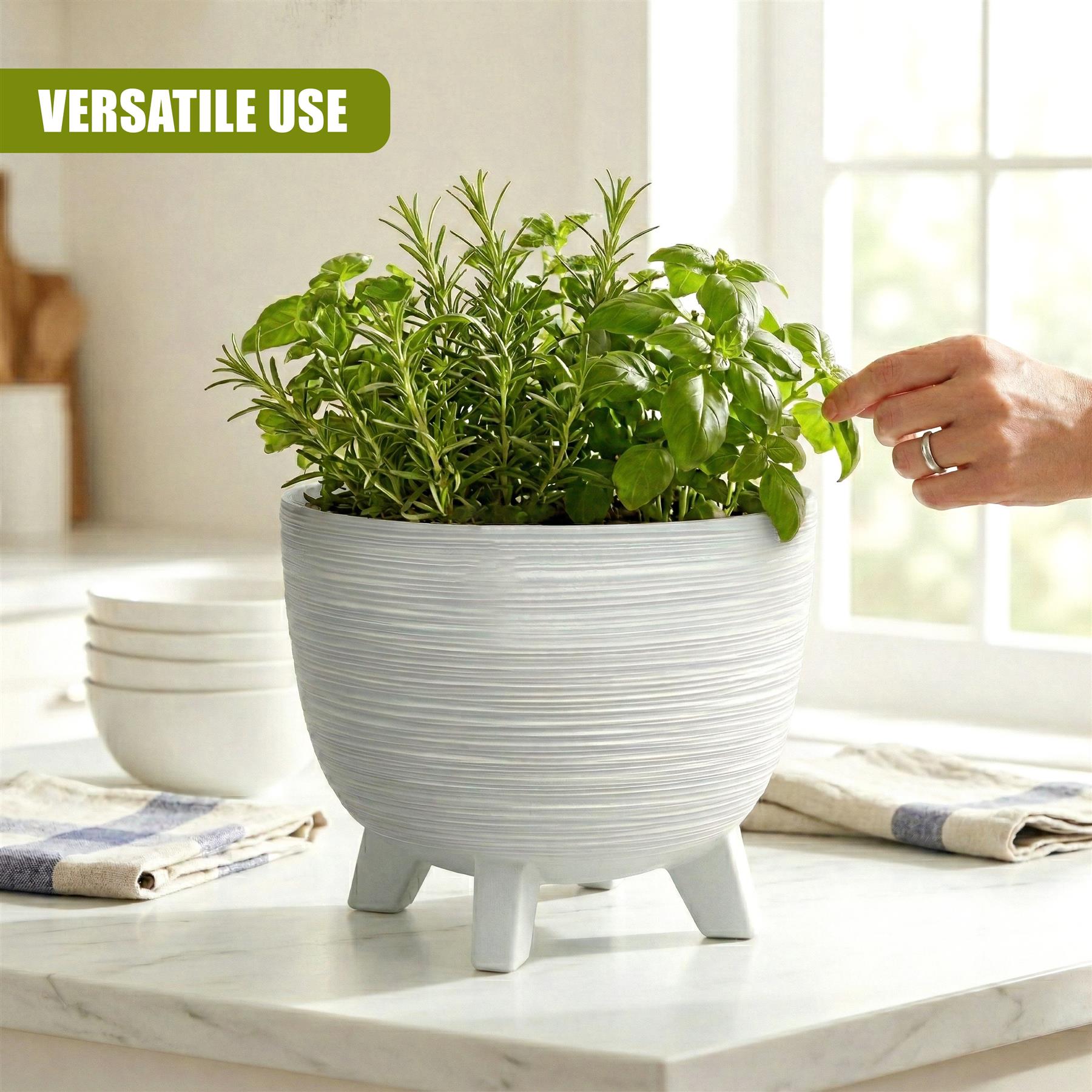 A white, ribbed flower pot with three short legs holds dense, leafy green herbs.