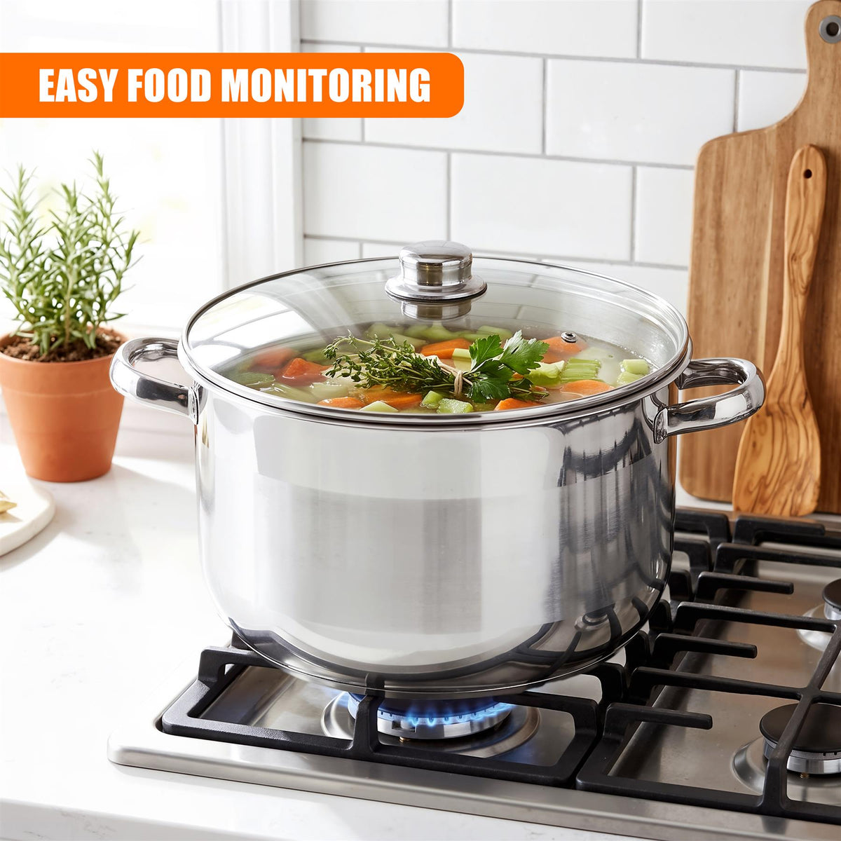 Stainless Steel Stock Pot with Lid - 16 L