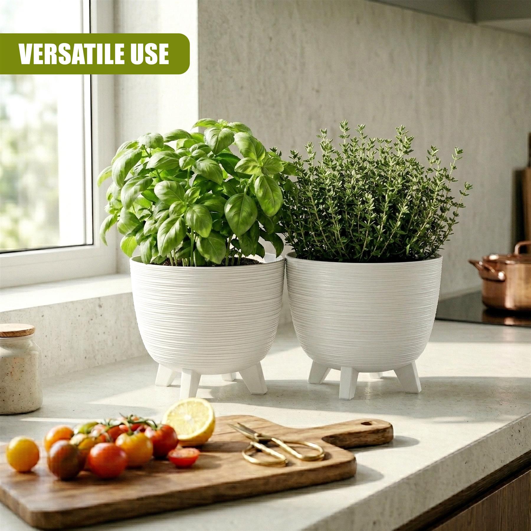 A grouping of potted herbs and fresh tomatoes arranged on a kitchen counter.