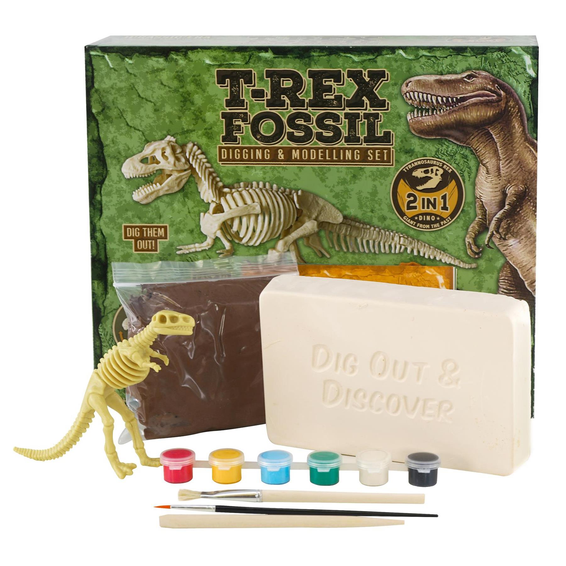 2-in-1 Fossil Excavation & Modelling Kit