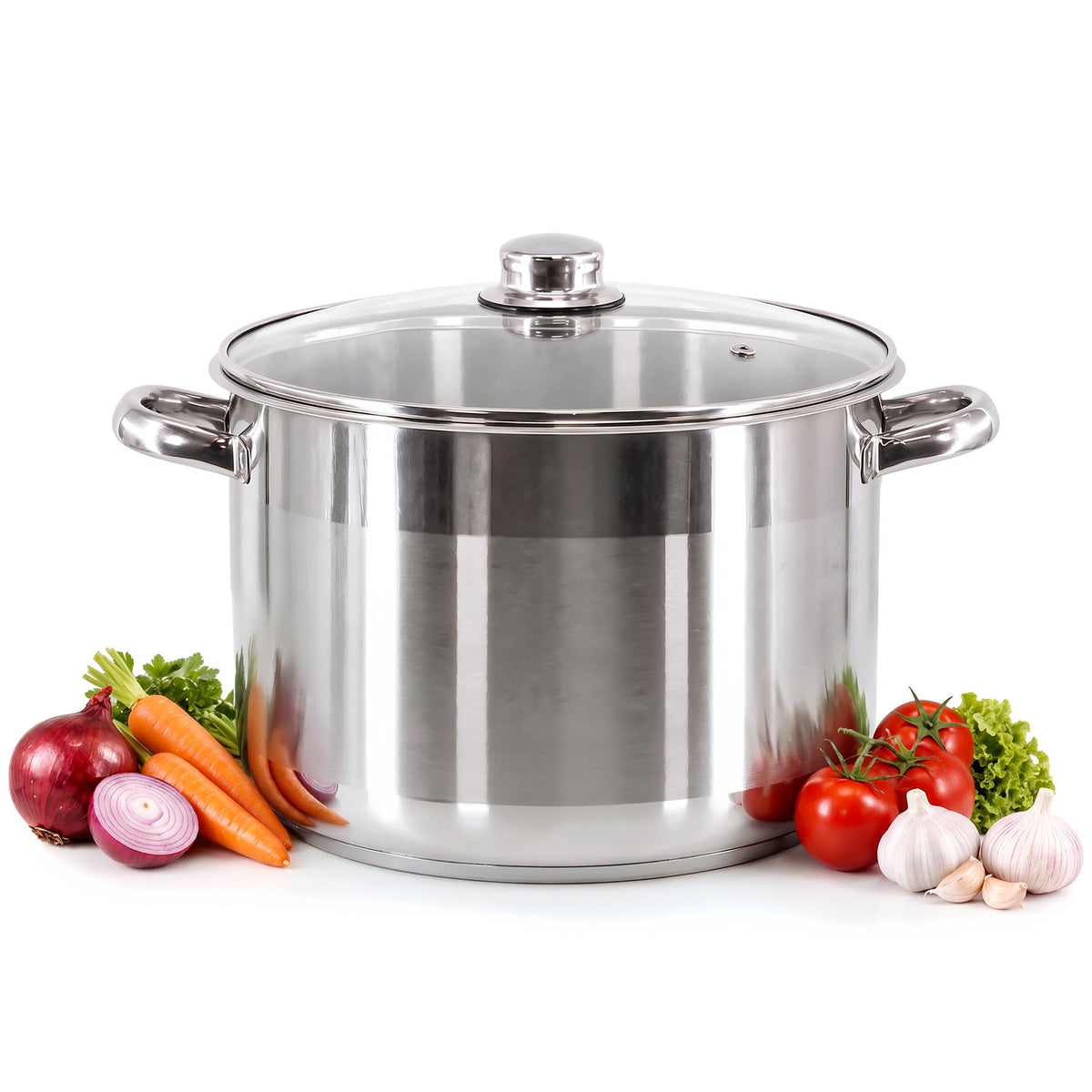 Stainless Steel Stock Pot with Lid - 11.5 L