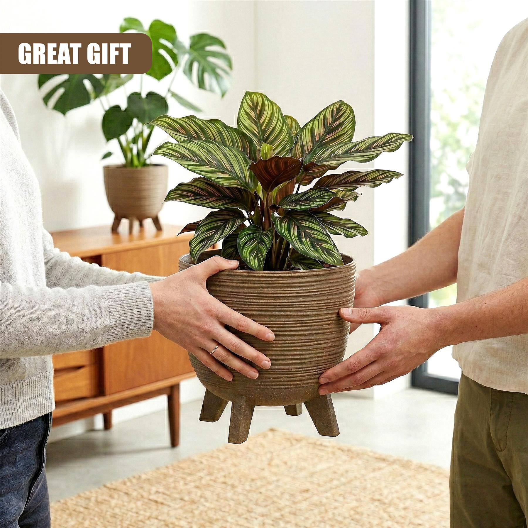 Two people jointly holding a large indoor plant in a brown, structured pot with legs.
