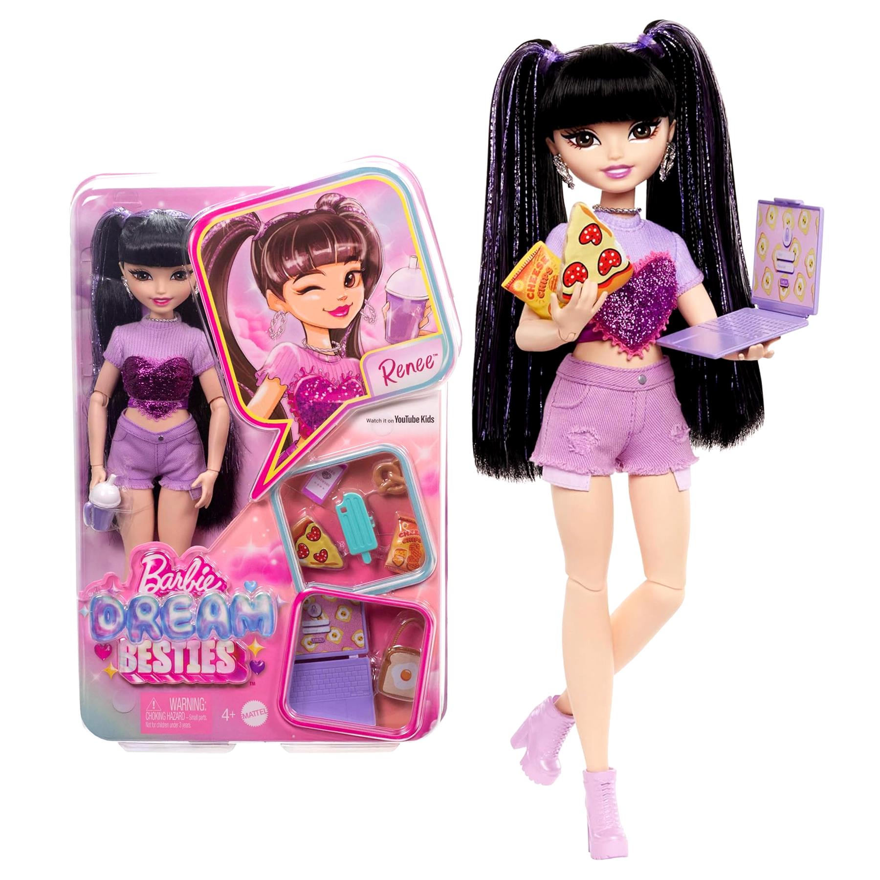 Barbie Dream Besties Renee Doll & Accessories Playset