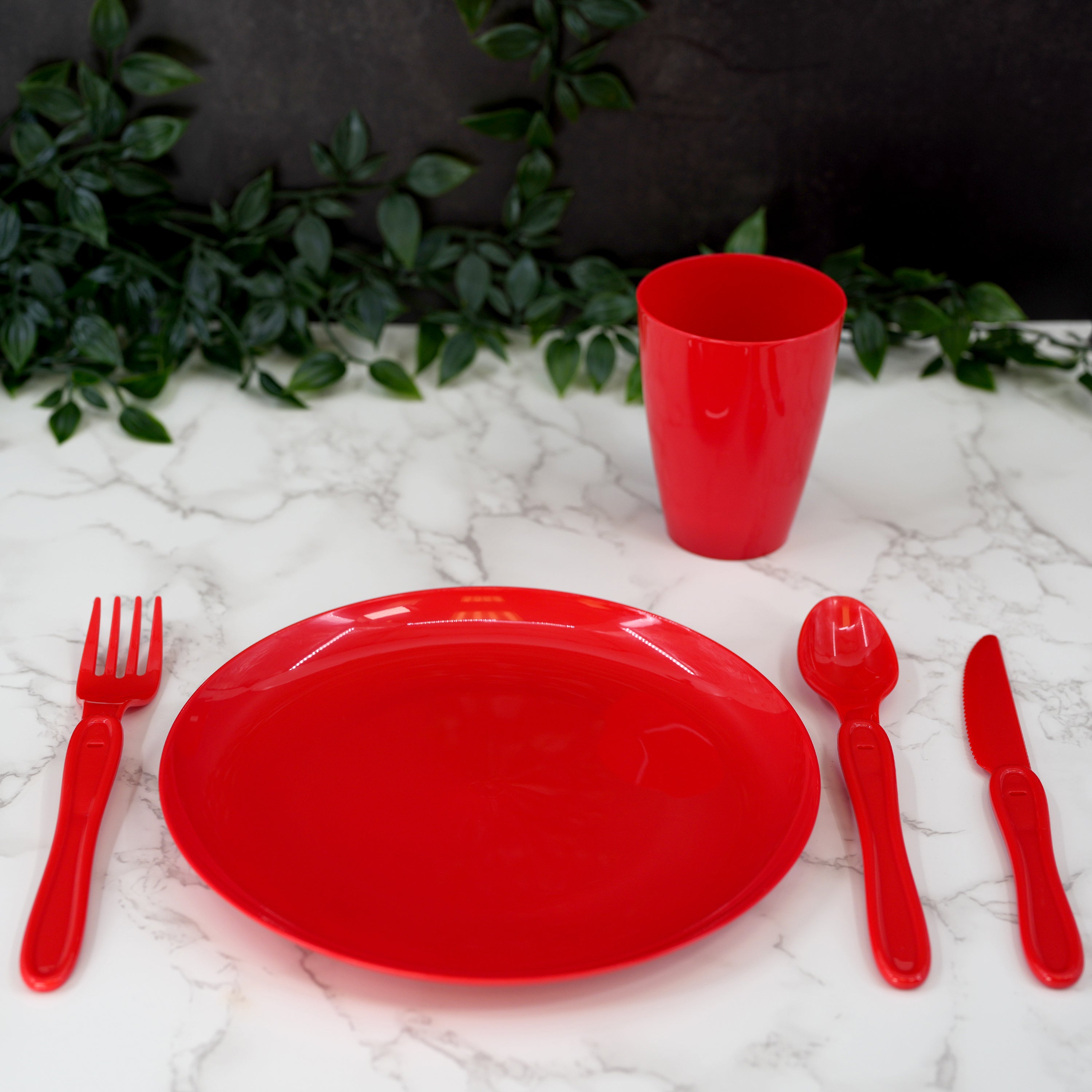 picnic crockery